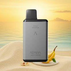 Adalya AD 10000 Puffs Hawaii Ruimtegrijs USB-C 14 ml