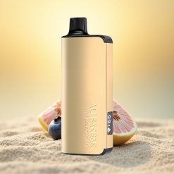 Alibarbar Ingot 9000 Puffs Blauwe Bes Ontploffing 22ml 2350mah LED