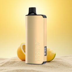 Alibarbar Ingot 9000 Puffs Passievrucht Mango Limoen 22ml 2350mAh LED