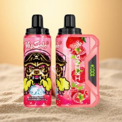 VapSolo VIKING 12000 Puffs Aardbei Framboos IJs 22ml Type-C
