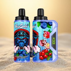 VapSolo VIKING 12000 Puffs Blauwe Bes Kers Veenbes Type-C 22ml 20mg