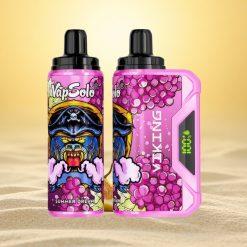VapSolo VIKING 12000 Puffs Zomer Droom 22ml Type-C LED