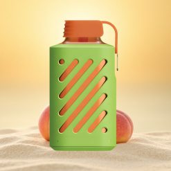 VOZOL GEAR 10000 Puffs Perzik Mango Watermeloen Mesh Coil 20ml