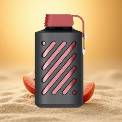 VOZOL GEAR 10000 Puffs Rode Mojito Mesh Coil met 30 smaken en 20ml Vloeistof