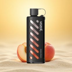 VOZOL Gear Shisha 25000 Puffs Mango Perzik Dual Mesh 5mg