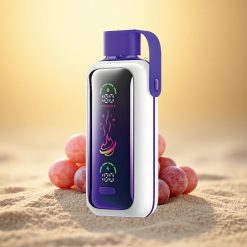 VOZOL Star 20000 Puffs Druiven IJs Dual Mesh 650mAh