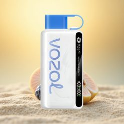 VOZOL STAR 9000/12000 Puffs Blauwe Bes Storm met S.i.L.C TECH en 30% Snellere Oplading