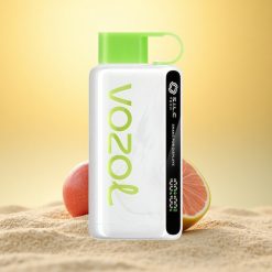 VOZOL STAR 9000/12000 Puffs Kers Lime Schudden Bescherming Snellaad