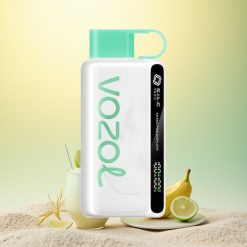 VOZOL STAR 9000/12000 Puffs Koele Munt Recycled & Snelsnel